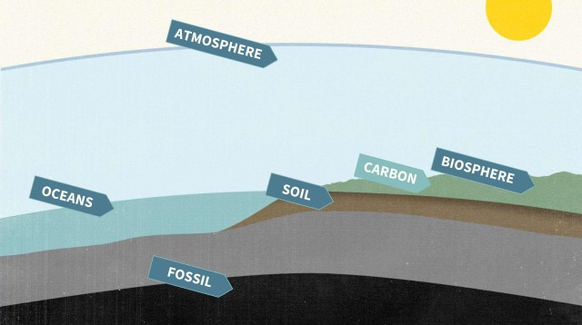 Các hồ chứa carbon
